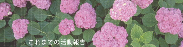 これまでの活動報告