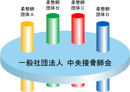 柔道整復師団体